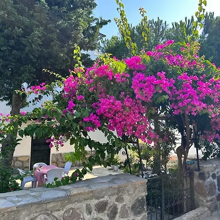 Otel Gundogan Full Sea View With Garden Triplex